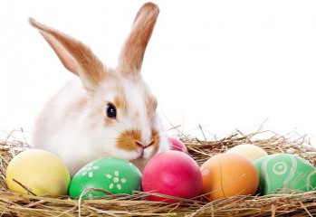 Ce fac artistii de Paste